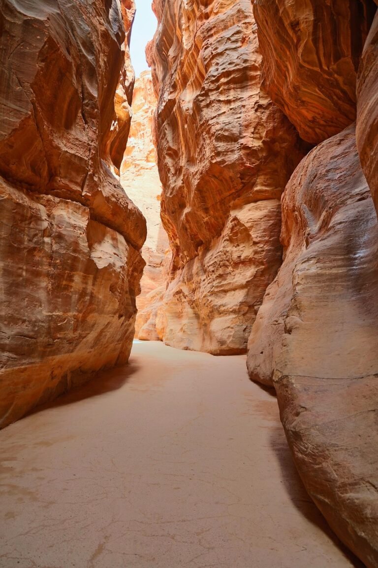 jordan, petra, canyon, sun, corridor, path, stone, nature, the shade, jordan, jordan, jordan, jordan, jordan, petra, petra