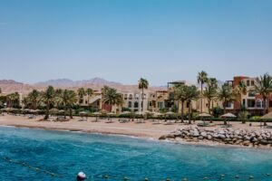 Customize Your Own Trip pexels andrea imre 151632551 17198743