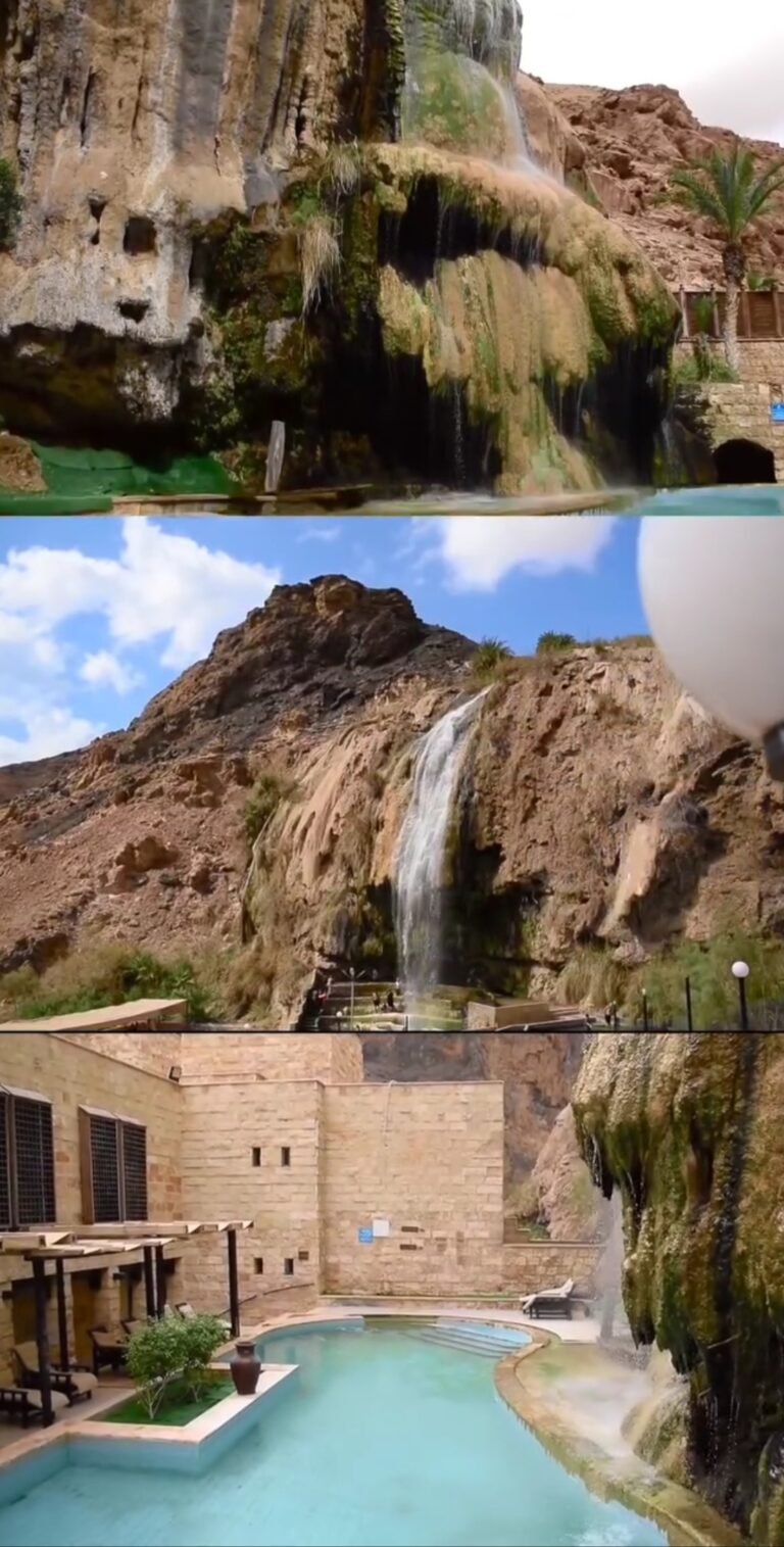 ماعين.