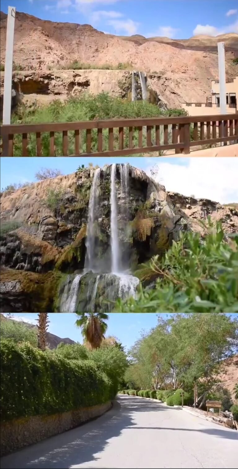 ماعين